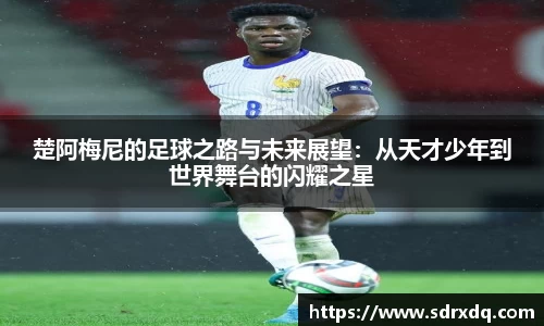 南宫28NG相信品牌力量